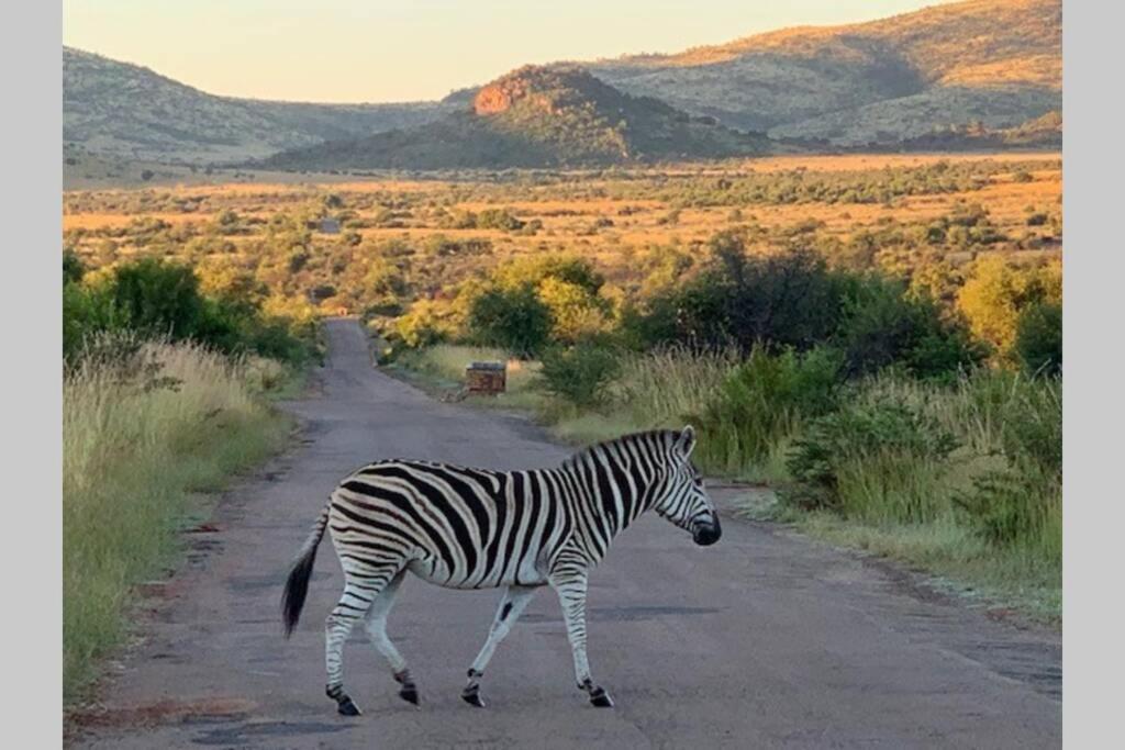 Rhino House With 3 Bedrooms Next To Pilanesberg And Sun City Mogwase Exterior foto